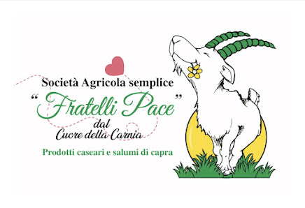 Società agricola semplice Fratelli Pace Loc Belvedere s.n, 33020 Preone UD, Italia