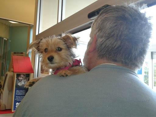 Pet Supply Store «Petco Animal Supplies», reviews and photos, 2807 Wilma Rudolph Blvd, Clarksville, TN 37040, USA