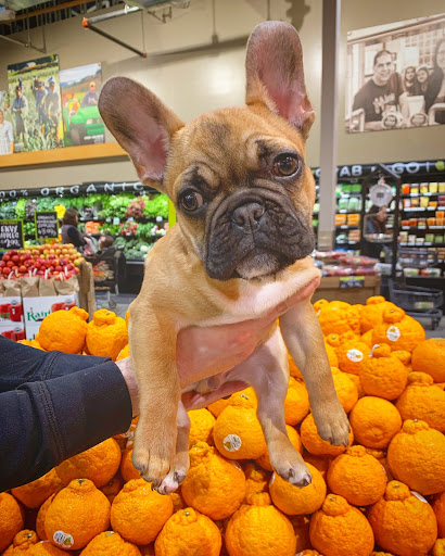 430 Yale Ave N, Seattle, WA 98109, USA