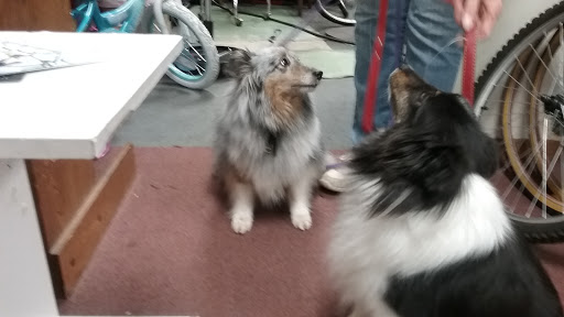 Bicycle Store «Freewheelers», reviews and photos, 1757 Mt Hope Ave, Rochester, NY 14620, USA