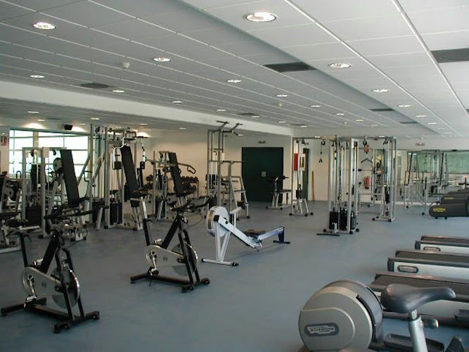 Mejores Gimnasios En Aranguren Cerca De Mi