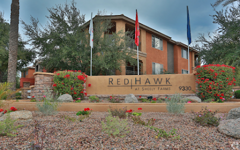 Red Hawk At Sheely Farms image