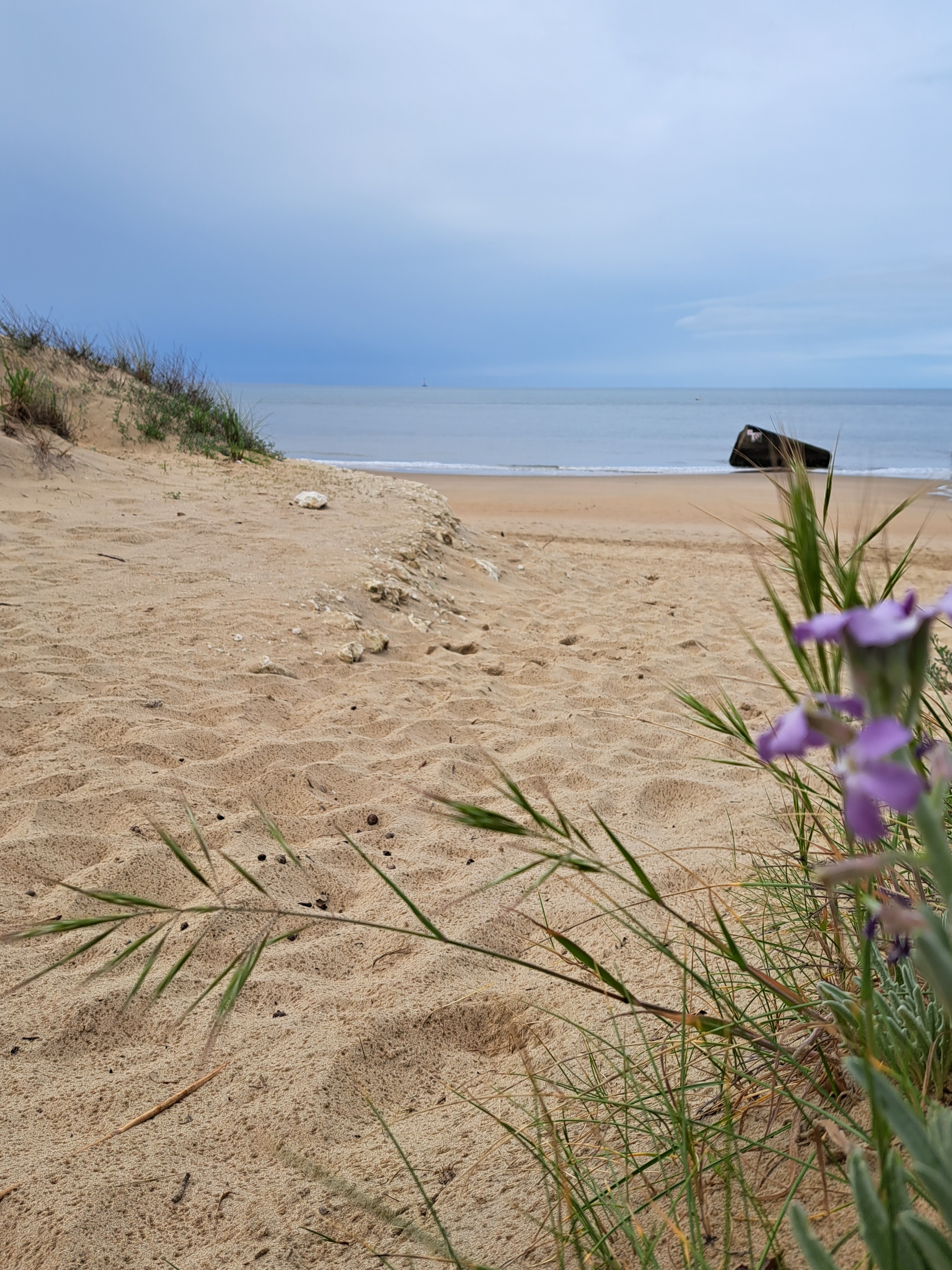 Photo n° 2 de l'avis de Aline.a fait le 30/05/2023 à 16:47