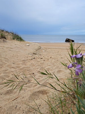Plage à Saint-Palais-sur-Mer