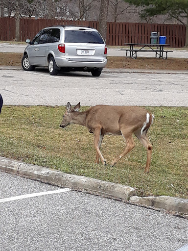 Community Center «Garfield Park Nature Center», reviews and photos, 11350 Broadway Ave, Garfield Heights, OH 44125, USA