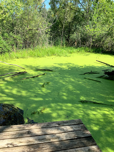 Nature Preserve «Johnson Nature Center», reviews and photos, 3325 Franklin Rd, Bloomfield Hills, MI 48302, USA