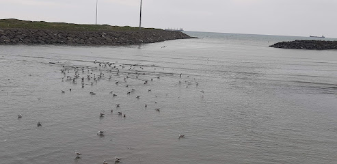 Samsun Plaj Voleybolu Sahası