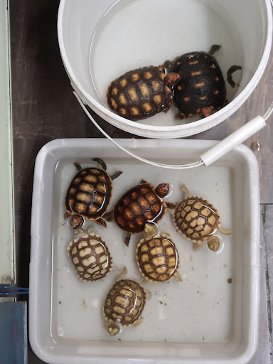 Pet Store «Pet Central», reviews and photos, 1411 Powell St, San Francisco, CA 94109, USA