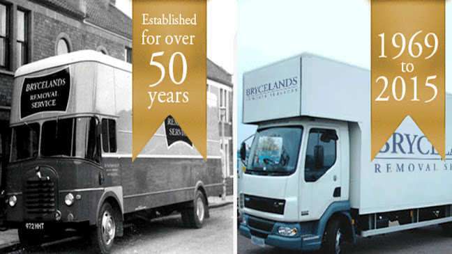 Comments and reviews of Brycelands Removals