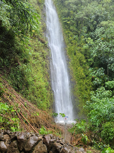Mānoa Falls Trail