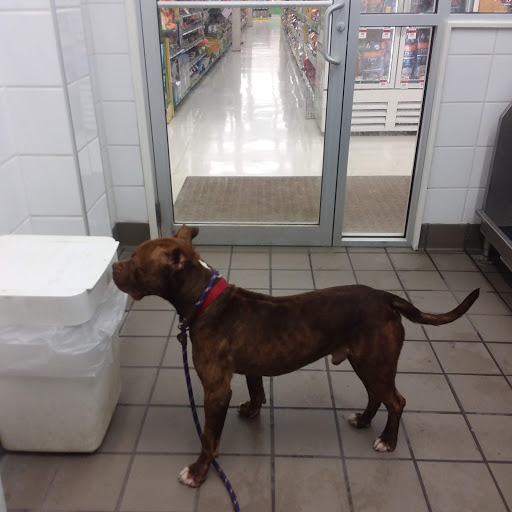 Pet Supply Store «Pet Supplies Plus», reviews and photos, 14839 Detroit Ave, Lakewood, OH 44107, USA
