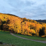 Photo n°2 de l'avis de Jürgen.d fait le 15/10/2023 à 07:48 sur le  Waldrestaurant Zähringer Burg - Freiburg im Breisgau à Freiburg im Breisgau