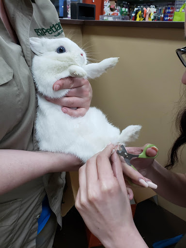 Pet Store «Petland Batavia», reviews and photos, 401 N Randall Rd, Batavia, IL 60510, USA