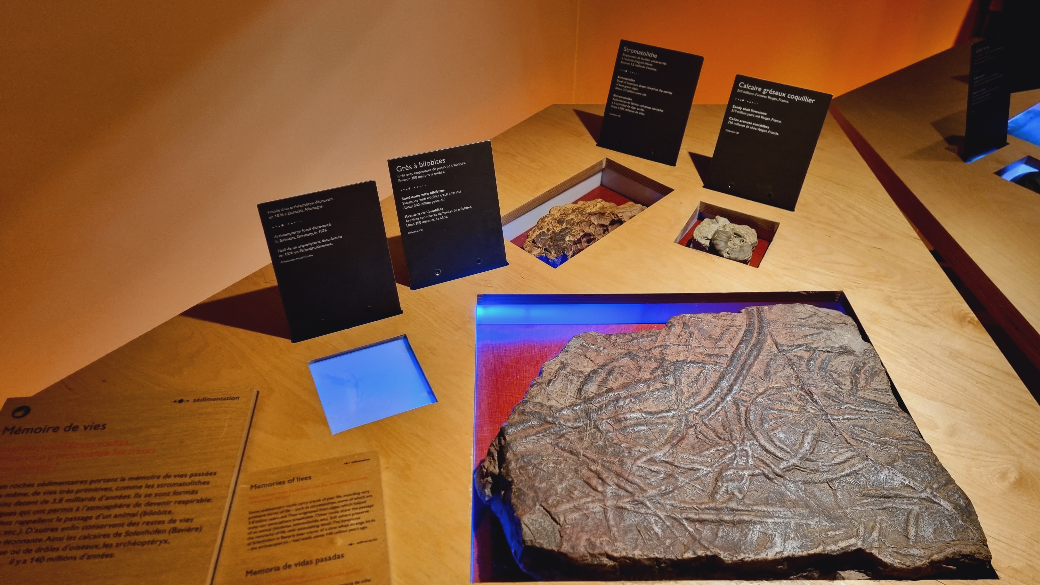 Photo n° 6 de l'avis de Fatma.y fait le 06/03/2023 à 18:46