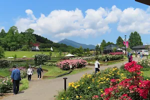 IBARAKI FLOWER PARK image