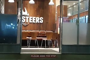 Steers image