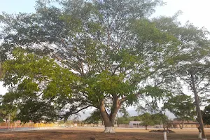 Plaza Civica image