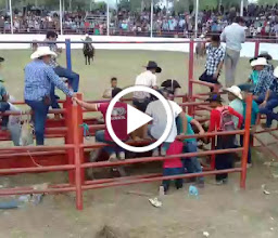 Soriana Hiper Ejercito Tampico photo