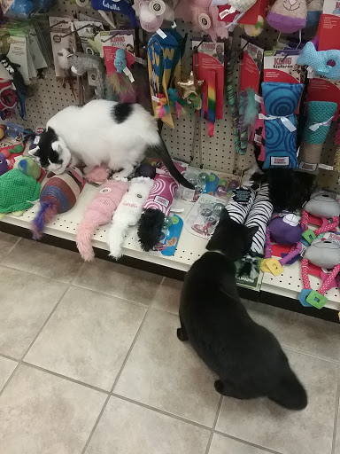 Pet Supply Store «Living Things», reviews and photos, 3437 PA-309, Orefield, PA 18069, USA