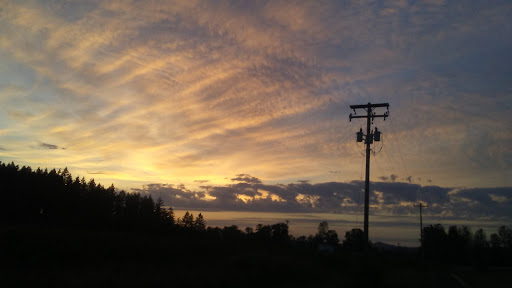 Golf Club «Emerald Valley Golf Club», reviews and photos, 83301 Dale Kuni Rd, Creswell, OR 97426, USA