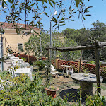 Photo n°2 de l'avis de Cinzia.n fait le 25/08/2022 à 13:53 sur le  Osteria del Bosco à Finale Ligure