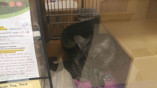 Pet Supply Store «PetSmart», reviews and photos, 26532 Towne Centre Dr, Foothill Ranch, CA 92610, USA