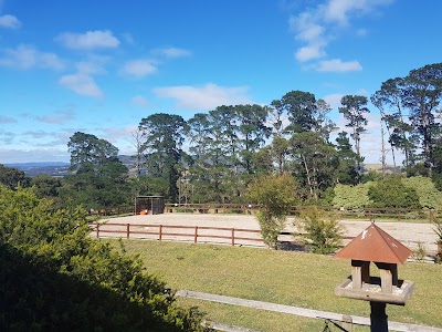 Photos of Lavender Farm