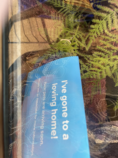 Pet Supply Store «PetSmart», reviews and photos, 5435 W TX-1604 Loop N, San Antonio, TX 78253, USA