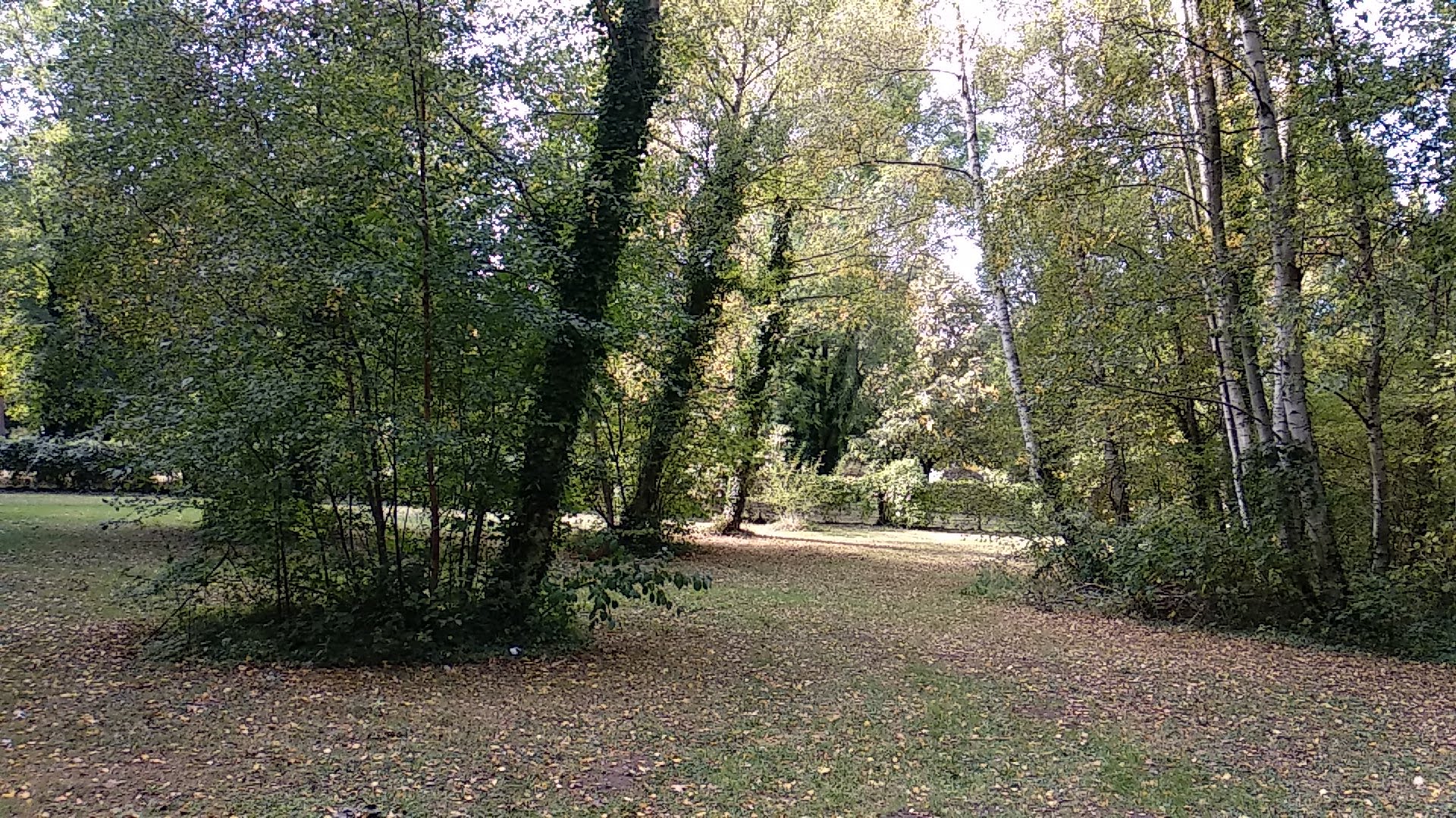 Photo n° 7 de l'avis de Timotée.r fait le 06/10/2018 à 13:14