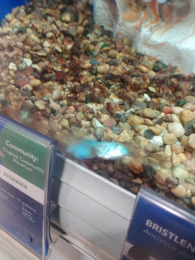 Pet Supply Store «PetSmart», reviews and photos, 24965 Pico Canyon Rd, Stevenson Ranch, CA 91381, USA