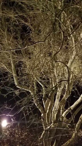 Tourist Attraction «Estrella Star Tower», reviews and photos, S Estrella Pkwy, Goodyear, AZ 85338, USA