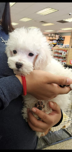 Pet Supply Store «Pet Ranch», reviews and photos, 3823 E 120th Ave, Denver, CO 80233, USA