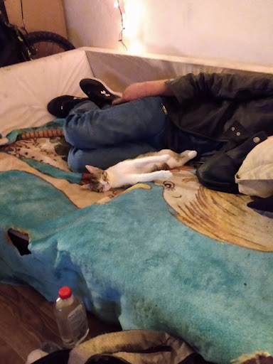 Thrift Store «Indian School Thrift», reviews and photos, 2740 W Indian School Rd, Phoenix, AZ 85017, USA