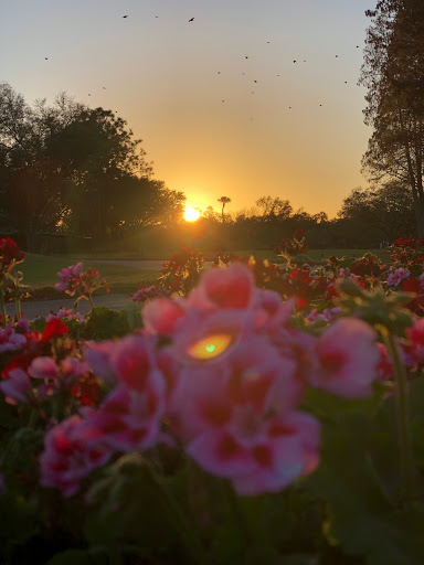 Country Club «Palma Ceia Golf & Country Club», reviews and photos, 1601 S MacDill Ave, Tampa, FL 33629, USA