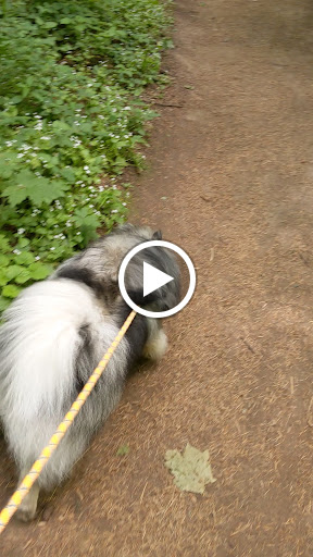 Park «Powell Butte Nature Park», reviews and photos, 16160 SE Powell Blvd, Portland, OR 97236, USA