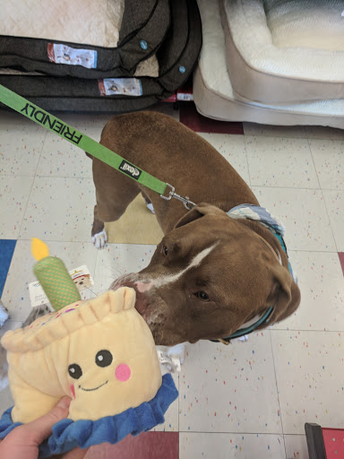 Pet Supply Store «Petco Animal Supplies», reviews and photos, 300 Hylan Dr, Rochester, NY 14623, USA
