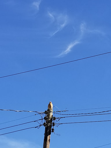 Plumber «Weilhammer Plumbing Co. Inc.», reviews and photos, 1819 Shelby St, Indianapolis, IN 46203, USA