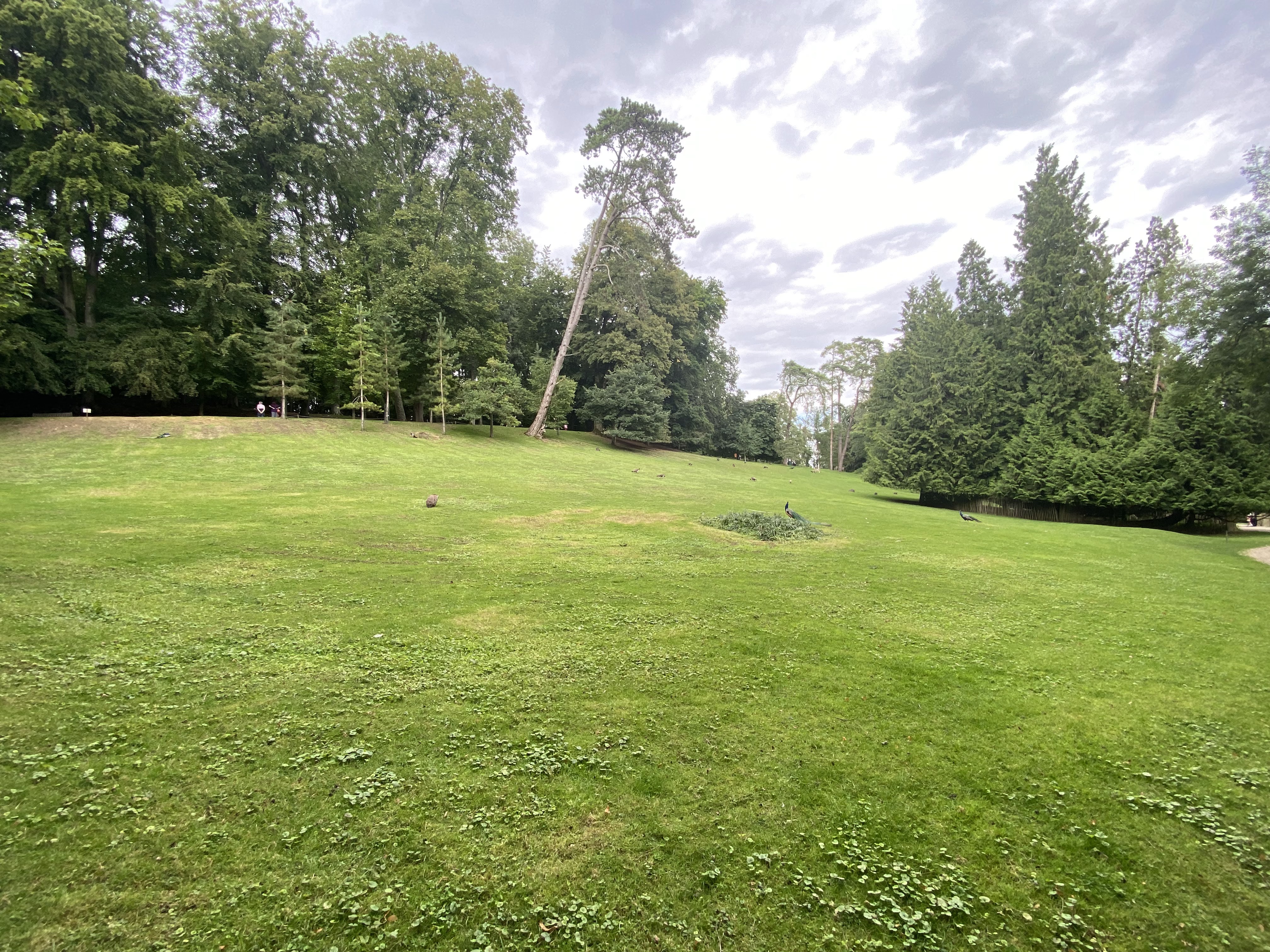 Photo n° 20 de l'avis de Mickael.e fait le 11/08/2023 à 05:54