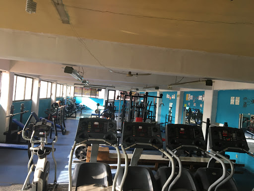 Gym Ali VIP