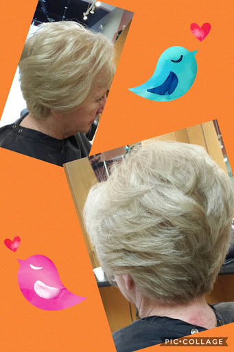 Hair Salon «Fantastic Sams Cut & Color», reviews and photos, 25680 Pontiac Trail, South Lyon, MI 48178, USA