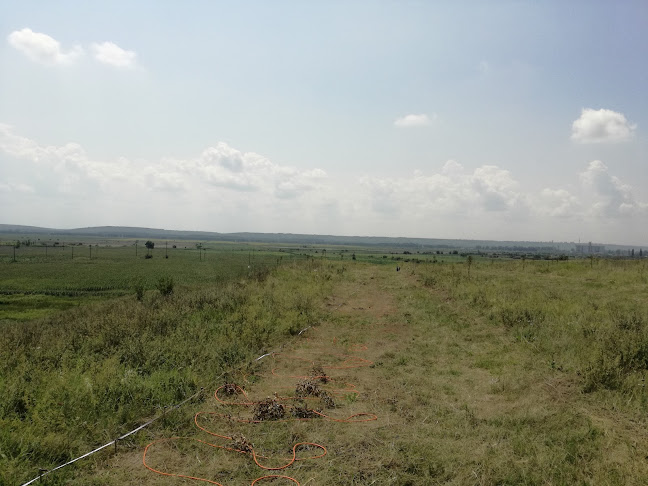 Comentarii opinii despre Gumelnita