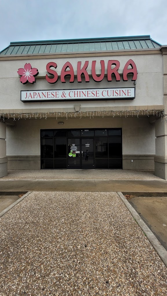 Sakura japanese & Chinese cuisine 77904