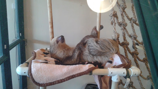 Pet Supply Store «EarthWise Pet Supply - Flower Mound», reviews and photos, 2311 Cross Timbers Rd #307, Flower Mound, TX 75028, USA