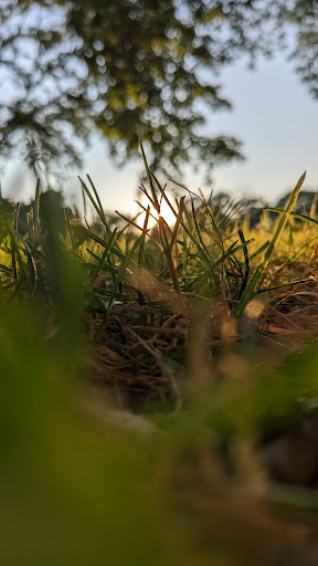 Park «Touhy Park», reviews and photos, 7348 N Paulina St, Chicago, IL 60626, USA