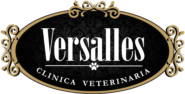 Comentarios y opiniones de Clinica Veterinaria Versalles