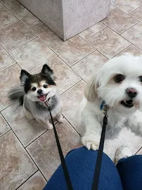 Bethlehem Animal Hospital - Car repair in Hickory, NC, Hickory - Rated 4.6/5