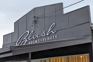 Blush Brows + Beauty Mackay image