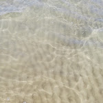 Photo n°3 de l'avis de Giuliano.o fait le 01/08/2023 à 10:29 sur le  Hotel Villa Sorriso à Senigallia