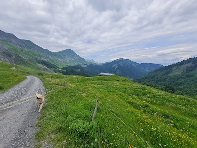 Col de l'Arpettaz à Ugine
