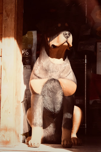 Pet Supply Store «Cheshire Cat & Dog Too», reviews and photos, 1320 Waterbury Rd, Cheshire, CT 06410, USA